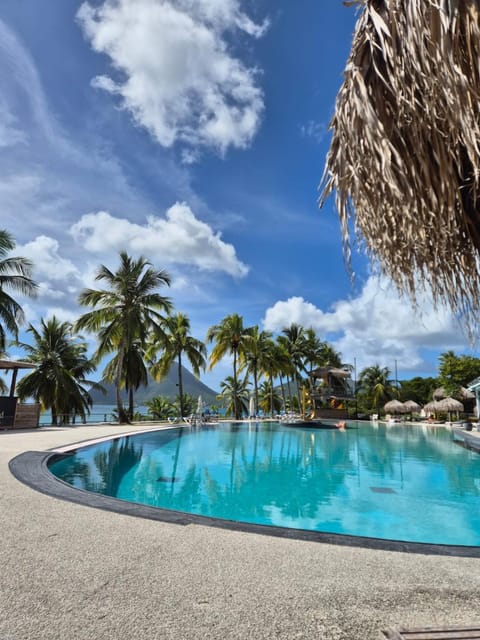 Natural landscape, Swimming pool, sunbed