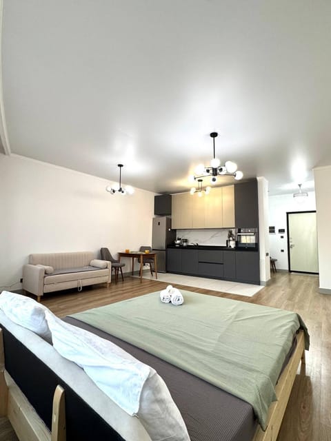 Bed, Kitchen or kitchenette, Living room, Photo of the whole room, Seating area, Dining area, Bedroom, oven, stove
