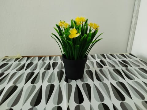 Hostel Latin Bridge Hostel in Sarajevo