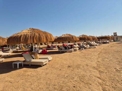 Beach, sunbed