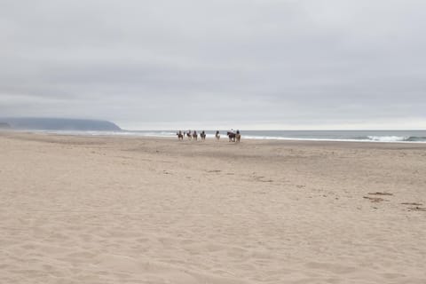 Pelican Beach House House in Pacific City