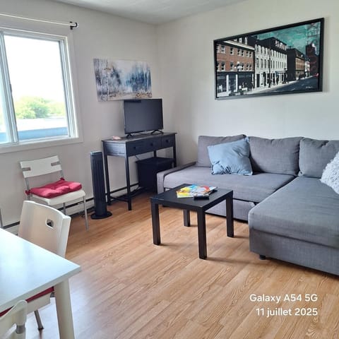 Hull-Wrightville apt# 15 with balcony Apartment in Gatineau