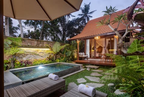 Natural landscape, Garden, Garden view, Pool view, Swimming pool, sunbed