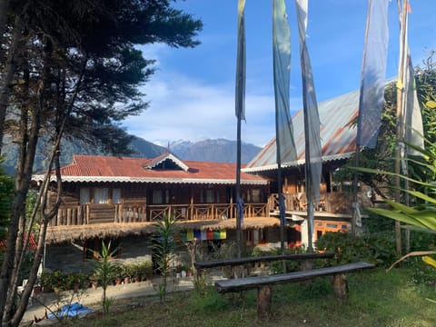 Property view
