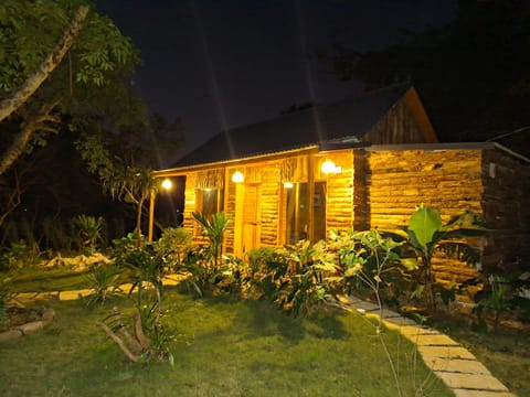 Property building, Night, Garden, Garden view