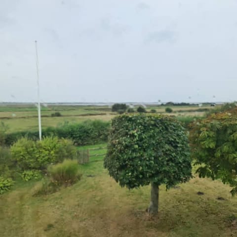 Horse Estate Farm Stay - Beautiful Surroundings House in Central Denmark Region