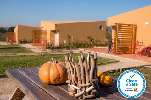 Day, Garden, Garden view