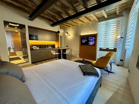 Bed, TV and multimedia, Kitchen or kitchenette, Living room, Photo of the whole room