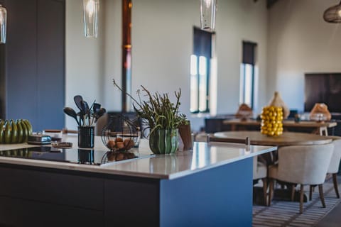 Kitchen or kitchenette, kitchen