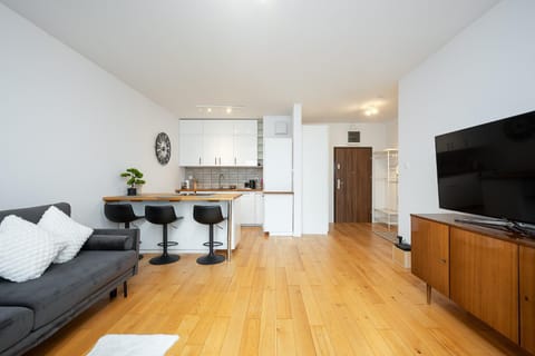 TV and multimedia, Kitchen or kitchenette, Living room, Dining area, oven, stove