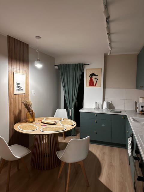 Mieszkanie w centrum miasta Apartment in Lithuania