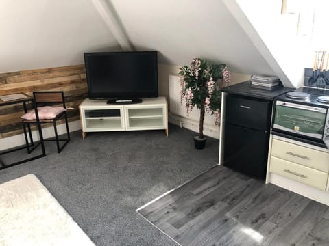 55 Studio 7 - Uplands Apartment in Swansea