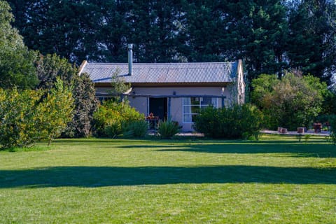 Natural landscape, Garden, Garden view