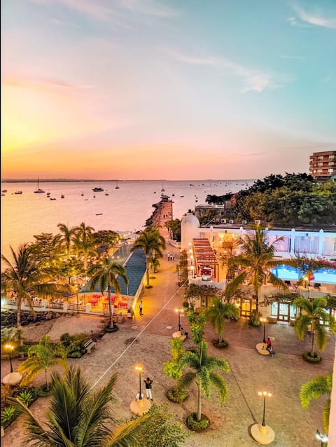 Property view