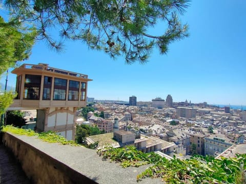 City view