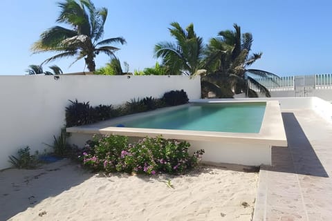 Garden, Pool view, Swimming pool
