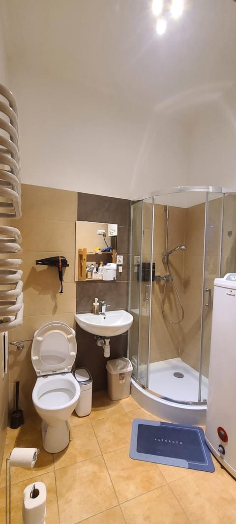 Shower, Toilet, hair dryier