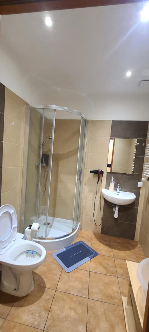 Shower, Toilet, hair dryier