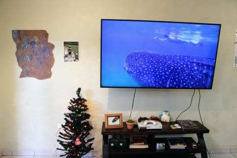 Communal lounge/ TV room, TV and multimedia, Evening entertainment