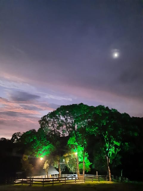 Night