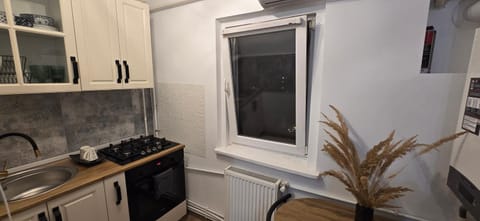 Rig Studio Apartment in Craiova