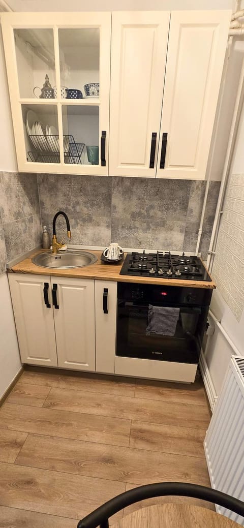 Rig Studio Apartment in Craiova