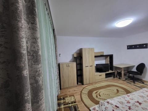 Timisoara Studio Apartment in Timisoara