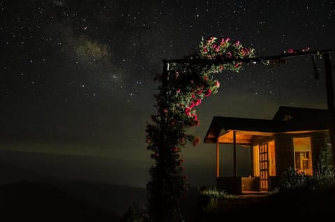 Property building, Night