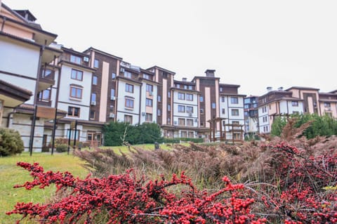 Property building, Natural landscape