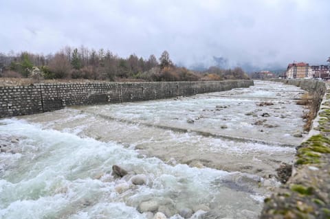 Natural landscape, River view