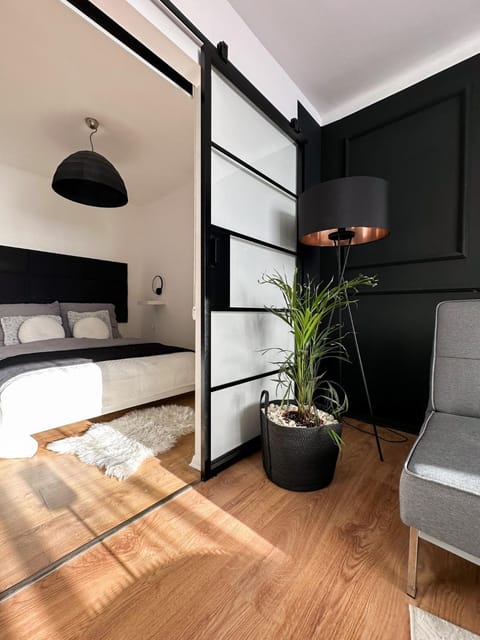 Bed, Living room, Photo of the whole room, Seating area, Bedroom