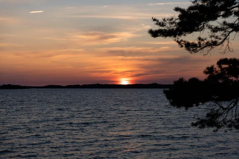 Forest View Cottage Apartment in Uusimaa