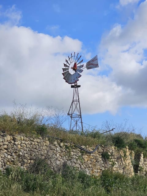 Soulnest Peace bedroom in shared flat Vacation rental in Malta