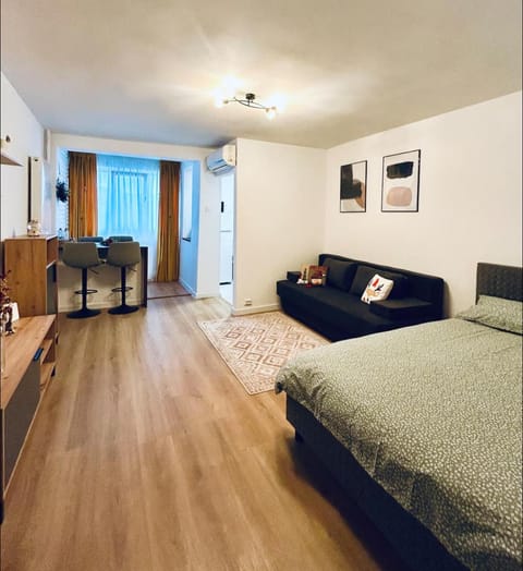 Nor's Studio Near City Center Apartment in Craiova