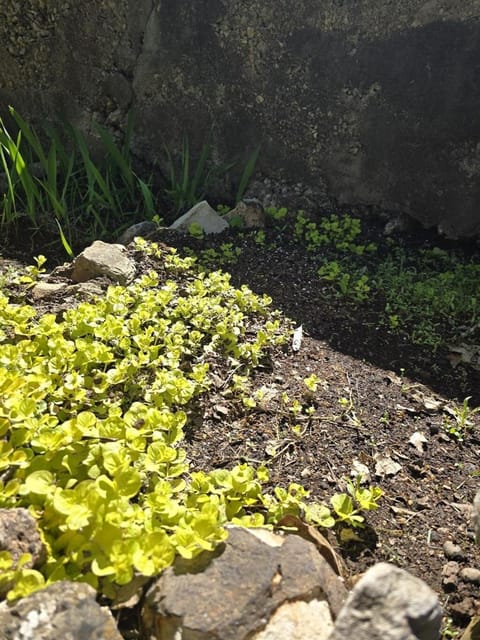 Cabin near Dogwood Canyon, Top of the Rock, Branson Cabin in Table Rock Lake
