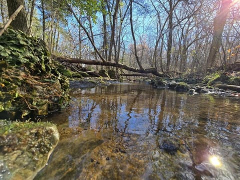Cabin near Dogwood Canyon, Top of the Rock, Branson Cabin in Table Rock Lake