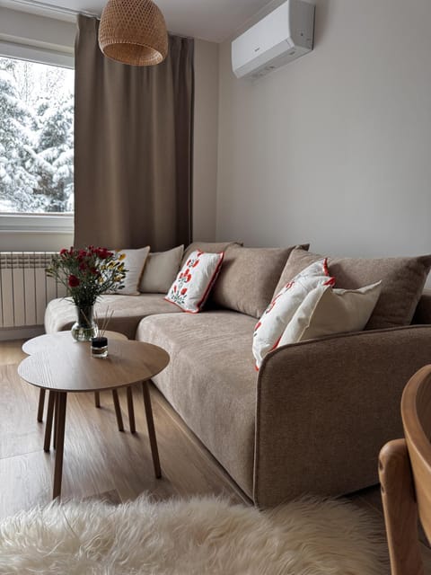 Living room, Photo of the whole room, Seating area, air conditioner