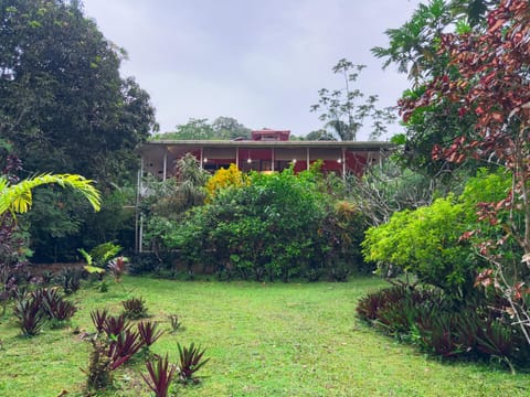 Property building, Natural landscape, Garden view