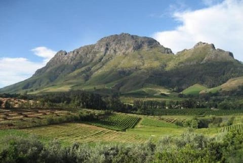 Majestic Mountain views in the Cape Town Winelands Apartment in Stellenbosch