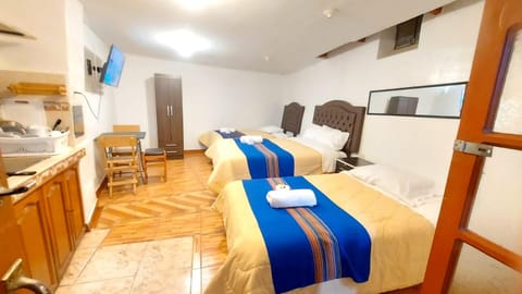 Bed, TV and multimedia, Kitchen or kitchenette, Photo of the whole room, Bedroom, minibar, oven, towels