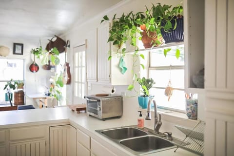 Other, dishwasher, toaster, kitchen