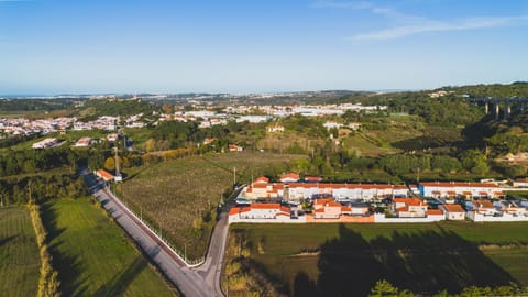 Casa Do Gato Das Sete Riscas House in Óbidos