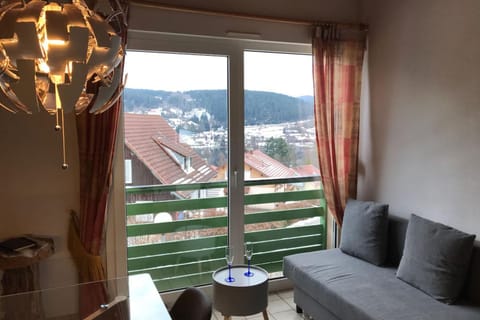 Cozy apartment with lake view Apartment in Gérardmer