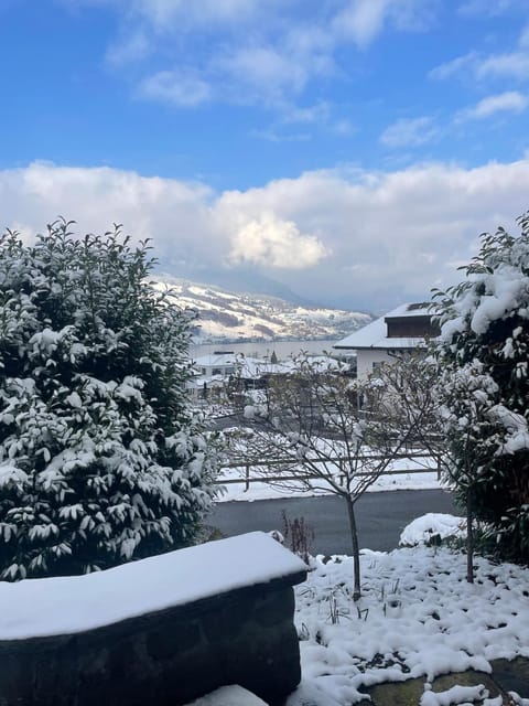 Ferienhaus am Sarnersee Apartment in Nidwalden
