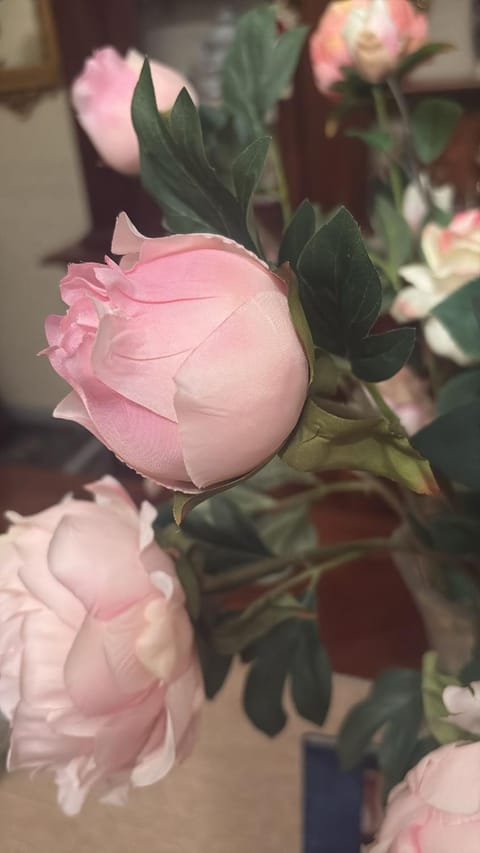 Ole - Bologna Apartment in Bologna