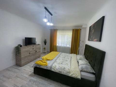 Studio Comfort Apartment in Craiova