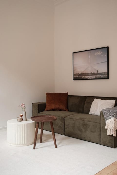 Cozy Parisian-Style Flat in Antwerp Zuid Apartment in Antwerp