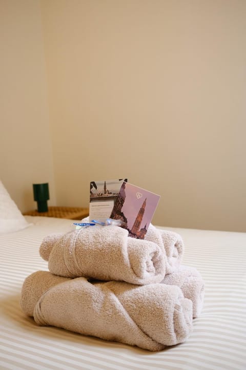 Cozy Parisian-Style Flat in Antwerp Zuid Apartment in Antwerp