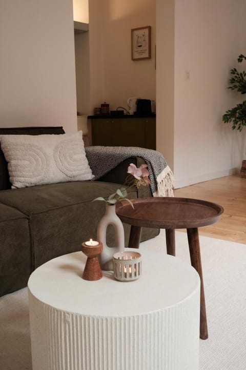 Cozy Parisian-Style Flat in Antwerp Zuid Apartment in Antwerp