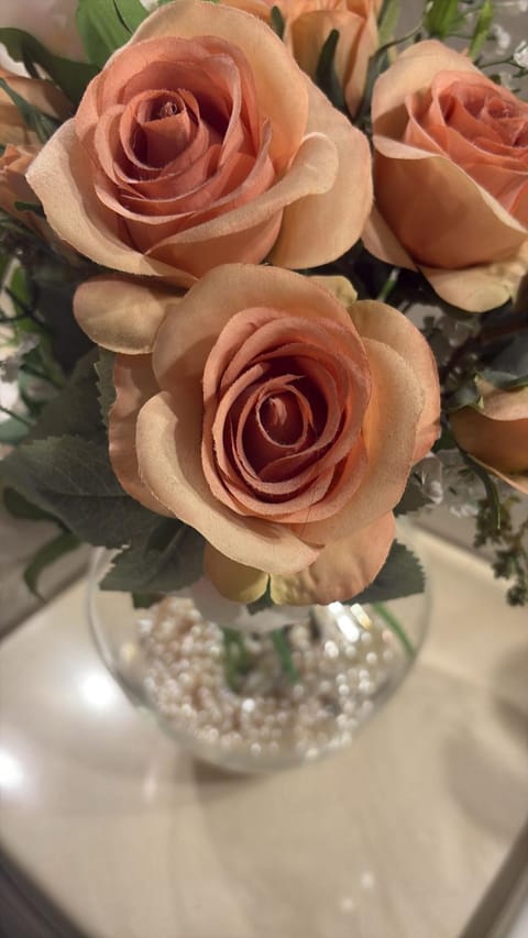 Second Flat Apartment in Bologna